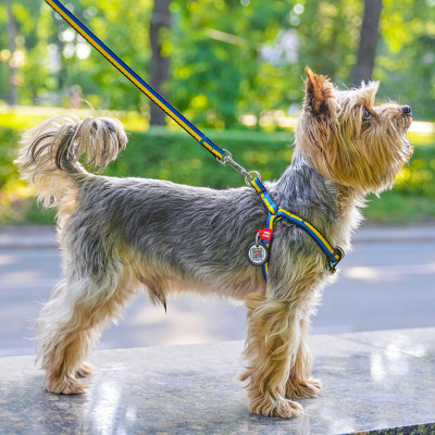 Повідок для собак WAUDOG Nylon "Colors of freedom" S 15 мм х 122 cм (4915-4020) Вінниця - фото 3