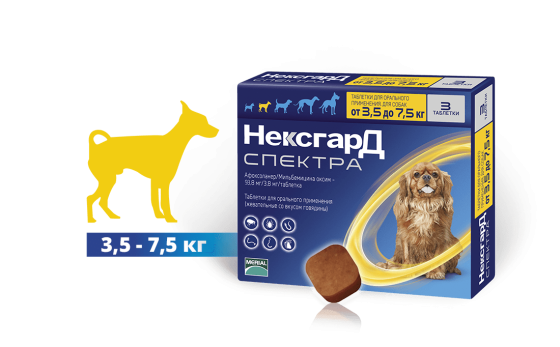 NexGard Spectra S (Нексгард Спектра S) таблетки від кліщів, бліх і гельмінтів для собак вагою від 3.5 до 7.5 кг Запоріжжя