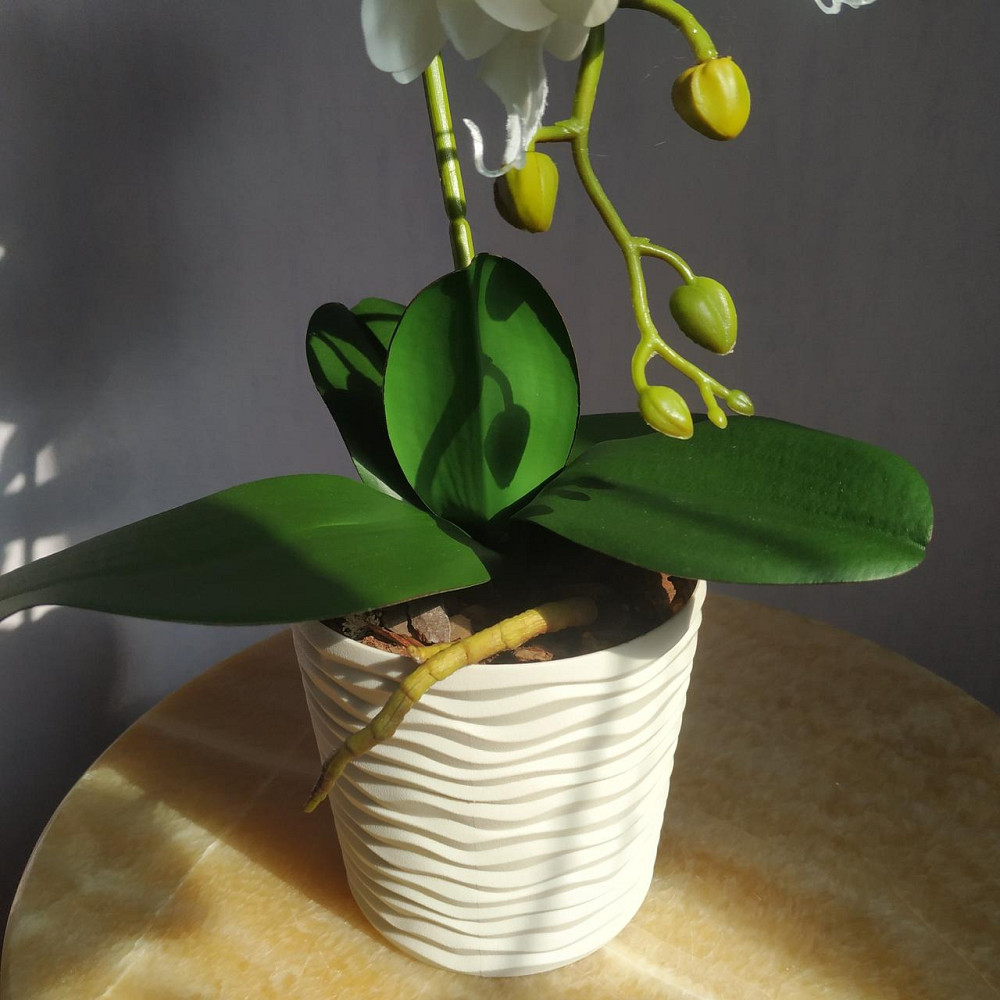 Штучна латексна орхідея VIP у пластиковому кашпо на одну гілку біла Дніпро - фото 4
