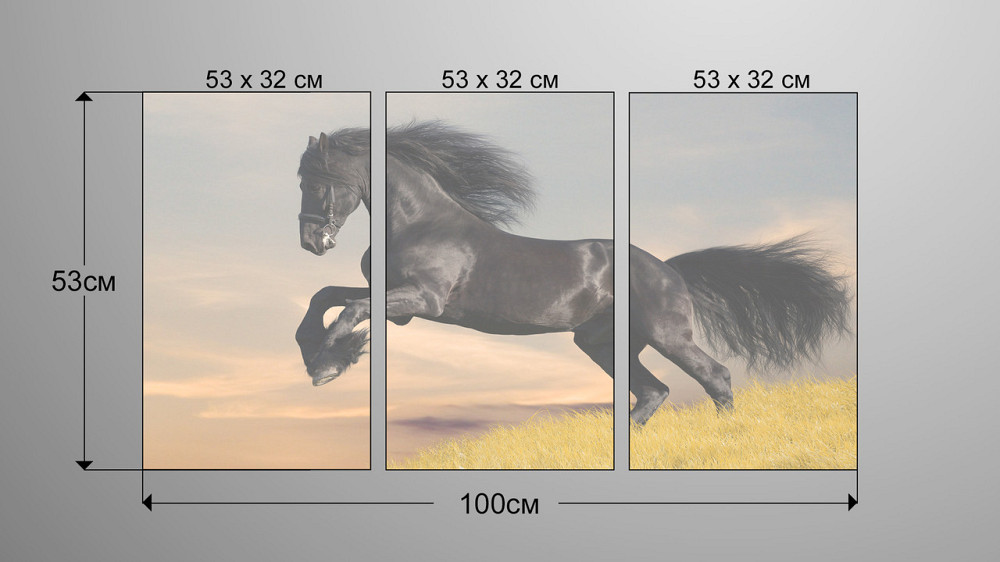 Модульна картина Кінь Аrt-87_3А Київ - фото 3