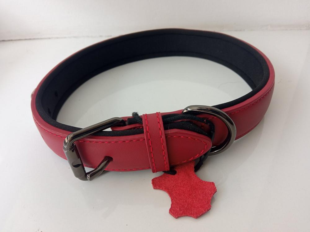 Нашийник для собак з метеликом Wirktive розмір L Луцк - изображение 1