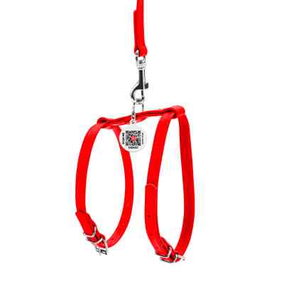 Шлея для собак WAUDOG Glamour з повідцем шкіряна Ш 9 мм А 20-30 см В 30-40 см червона (33993) Вінниця