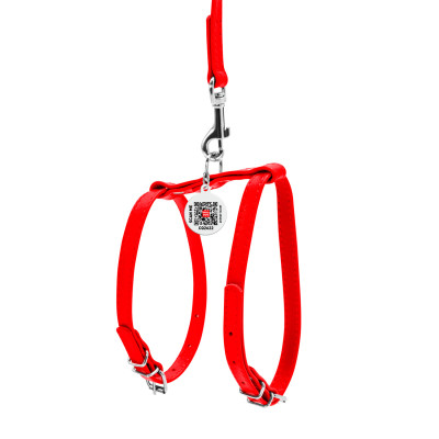 Шлея для собак WAUDOG Glamour з повідцем шкіряна Ш 9 мм А 20-30 см В 30-40 см червона (33993) Вінниця - фото 2