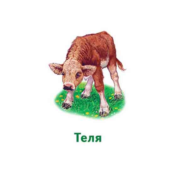 Настольная игра Парочки: Мир животных 1392003, 6 игр Винница