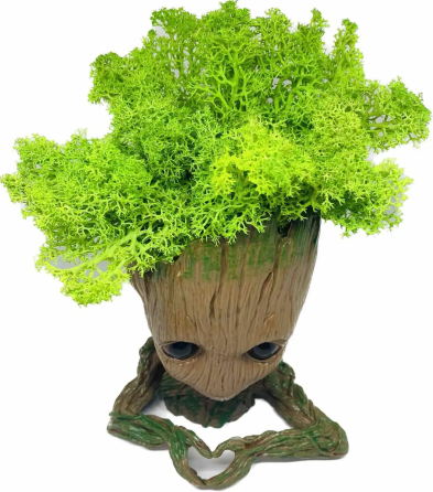 Кашпо горшочек со стабилизированным мхом Грут Groot G2 Винница