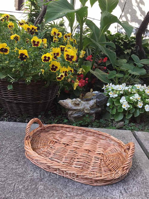 Піднос плетений овальний з лози Київ - фото 5