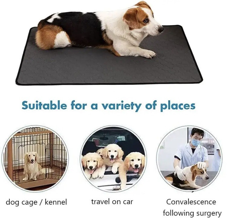 Коврик для котов и собак ,супервпитывающий, низ не пропускает мочу, размер 50*35 см, серый, нейлон. Киев - изображение 2