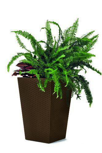Горшок для растений Keter Rattan Planter S, (small) 23,6 л Киев - изображение 1