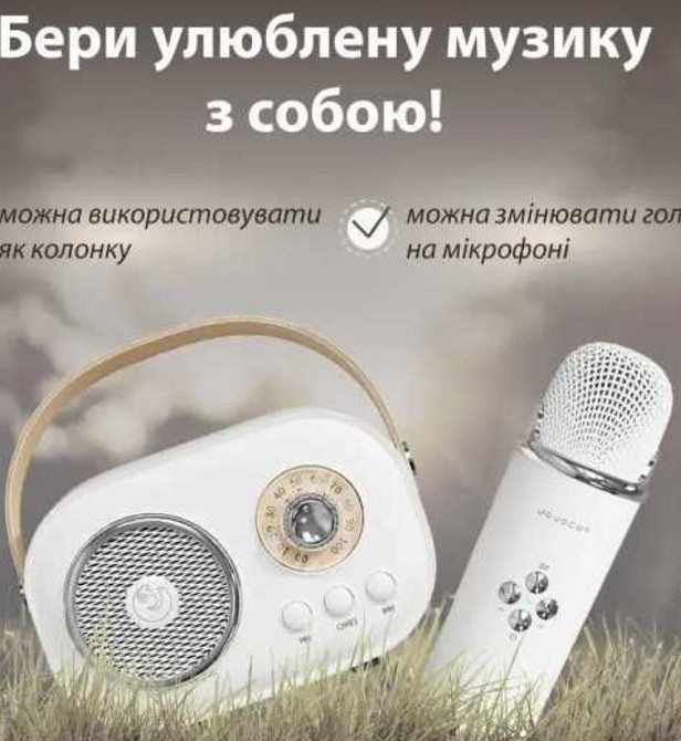 Колонка з мікрофоном PlatinumC-20 BT/TF/USB/FM Киев - изображение 4