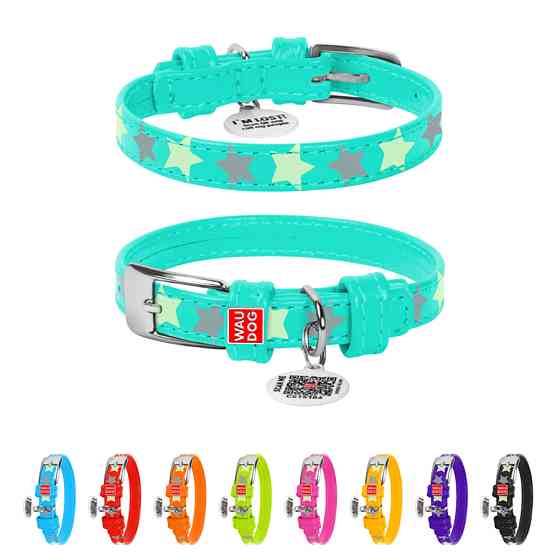 Нашийник для собак шкіряний WAUDOG Glamour з QR паспортом, візерунок "Зірочка", світлонакопичув Коломия