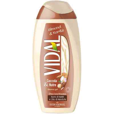 Гель для душа Vidal Миндаль и карите 250 мл (8008970043883) Винница