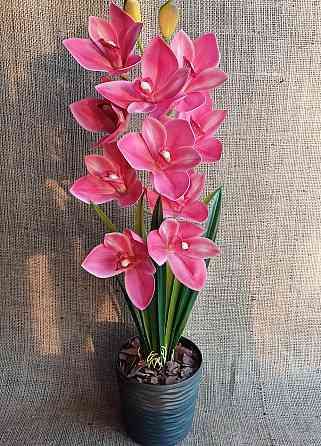 Штучна латексна орхідея цимбідіум у пластиковому кашпо малинова Дніпро