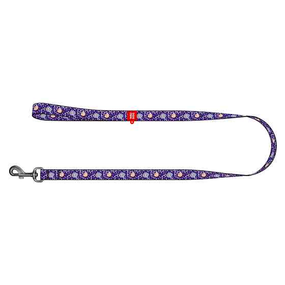 Повідець для собак нейлоновий WAUDOG Nylon, малюнок "Рік та Морті 2", L-XXL, Ш 25 мм, Дл 122 см Коломия