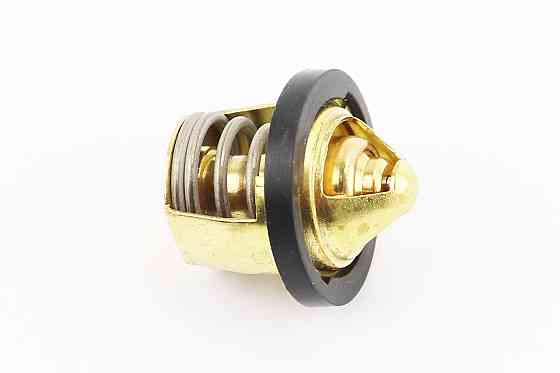 Термостат голий 250cc Киев