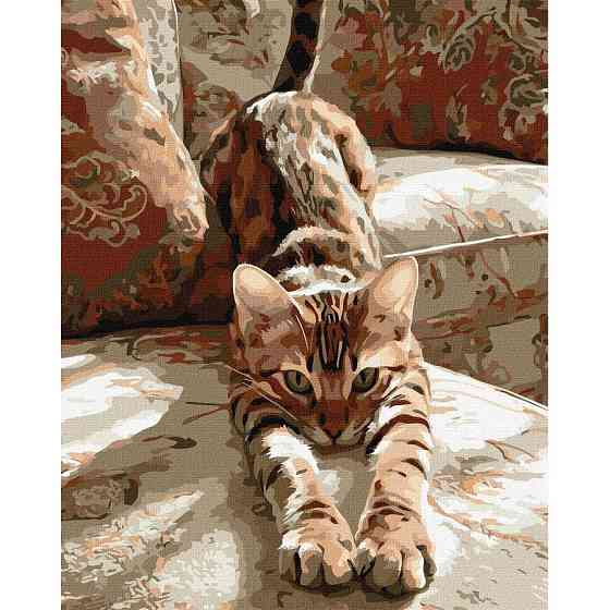 Картина за номерами "Ранкова розминка" ©art_selena_ua KHO6854, 40х50 см Вінниця