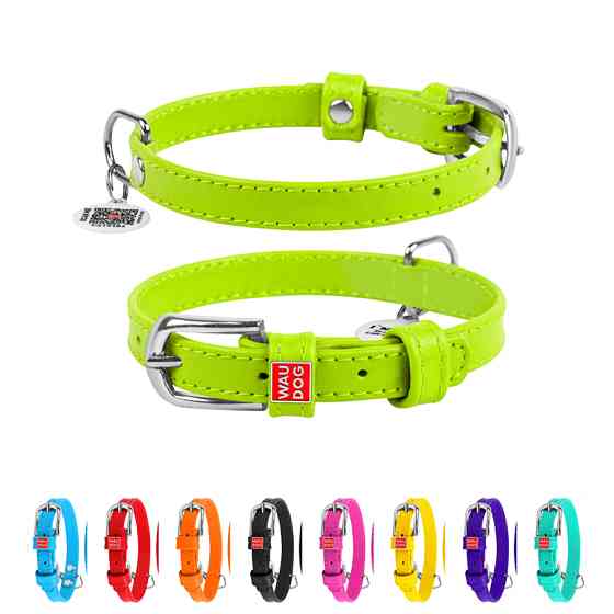 Нашийник для собак шкіряний WAUDOG Glamour з QR паспортом, без прикрас, S, Ш 15 мм, Дов 27-36 с Коломия