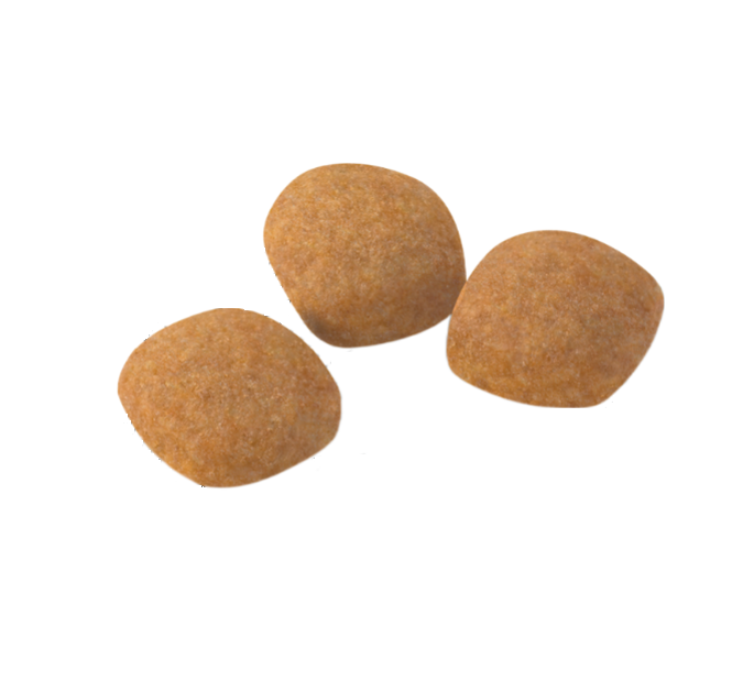 Сухий корм Royal Canin Protein Exigent для вибагливих котів до поживності корму від 1 до 7 років на вагу 1 кг Вінниця - фото 1