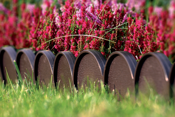 Бордюр садовий Prosperplast GARDEN LINE, коричневий, 10 м Київ