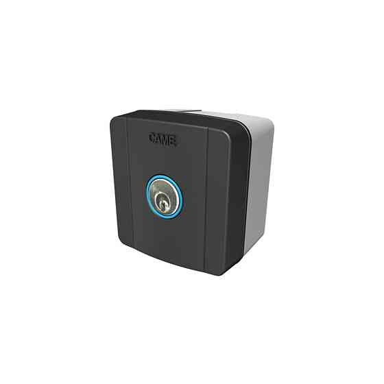 Накладна кнопка-ключ з підсвічуванням Came SELC1FDG для воріт і шлагбаумів Київ