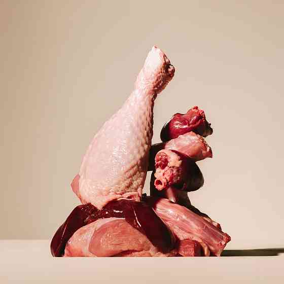 Корм вологий Carnilove Turkey & Venison with Stawberry Leaves для собак паштет індичка та оленина з листям полуниці 300 г Київ