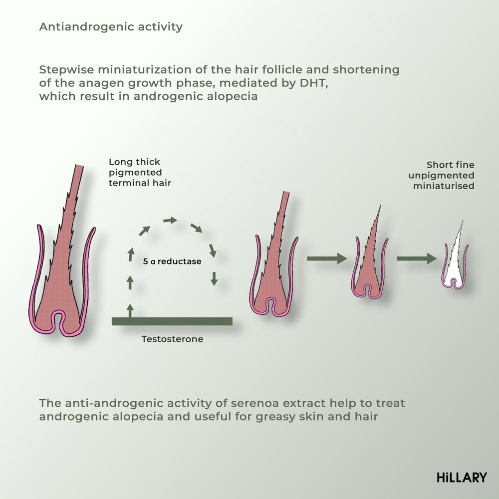 Комплекс проти випадіння волосся для чоловіків Київ - фото 10