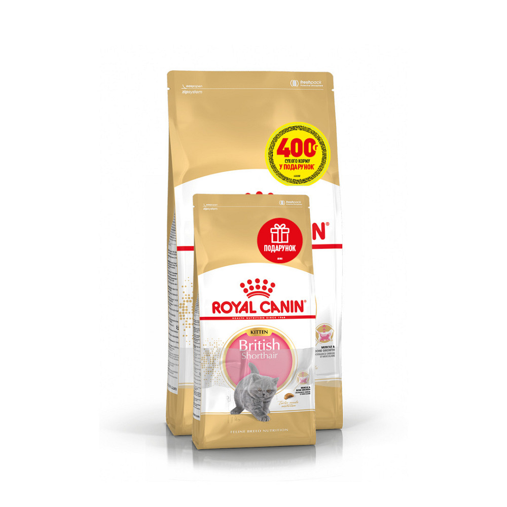 Корм для кошенят ROYAL CANIN KITTEN BRITISH SHORTHAIR 2 кг + 400 г у подарунок Київ - фото 1