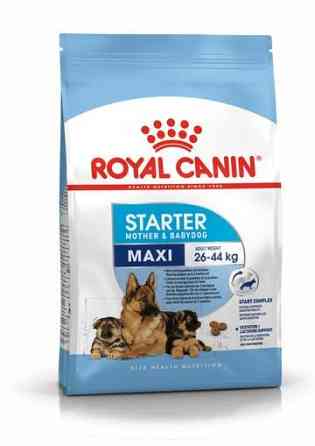 Royal Canin Maxi Starter (Рояв Канін Максі Стартер Мазер Бебідог) корм для великих вагітних і кормових собак 4 кг. Запоріжжя