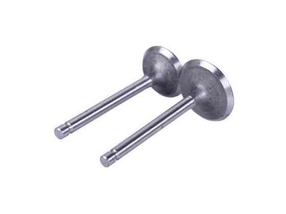 Клапани, к-т 2 шт. - мотоблок дизель 173D Мукачево