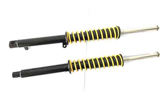 Пір'я вилки Mustang 150, 200, 250-4V, ZUBR Мукачево