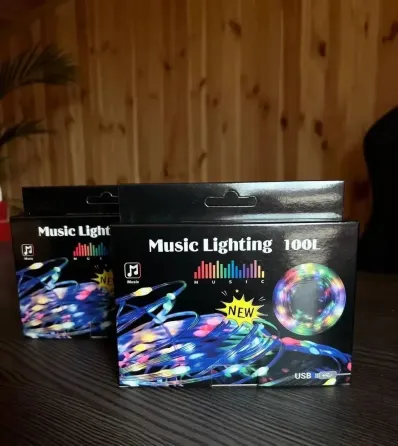 Гирлянда музыкальная с динамиком USB 10 м Коломия