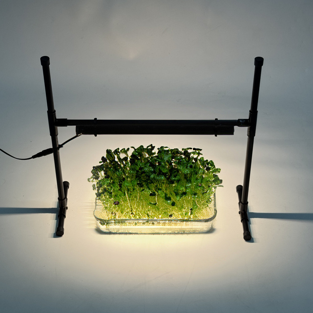 Дитяча фітолампа Mario для вирощування рослин, розсади, мікрозелені Борисполь - изображение 4