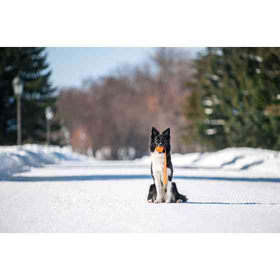 М'ячик ЛАЙКЕР7 Лайн, діаметр 7 см Вінниця