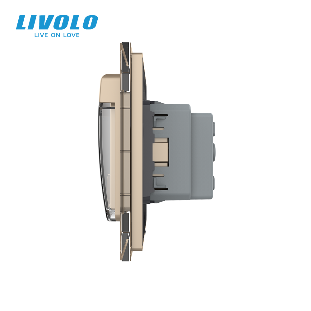 LIVOLO Електрична розетка вологозахисна з кришкою IP44 з заземленням, LIVOLO, золота, скляна ра Коломия - фото 9