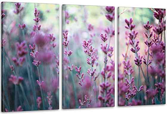 Модульна картина Природа Лаванда (53х100см) Art-63_3А Київ