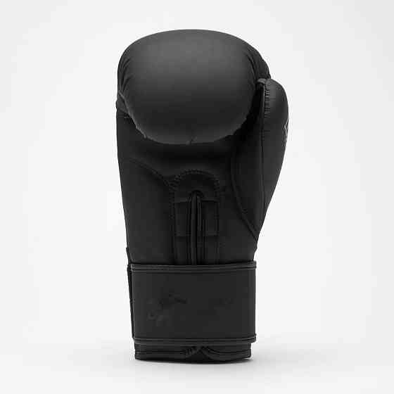 Боксерські рукавиці Leone GN058 TONE X Black 10 унцій Кам'янське
