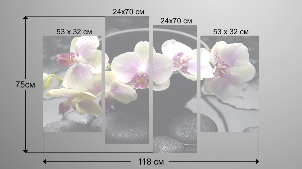 Модульна картина Орхідея Art-75_4 Київ - фото 3