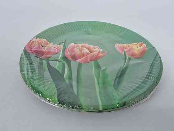 Тарілка паперова 23 см "No66 10 шт (1 пачка) Харків