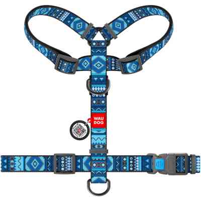 Шлея для собак WAUDOG Nylon з QR паспортом анатомічна H-подібна "Етно синій" S (5618) Вінниця