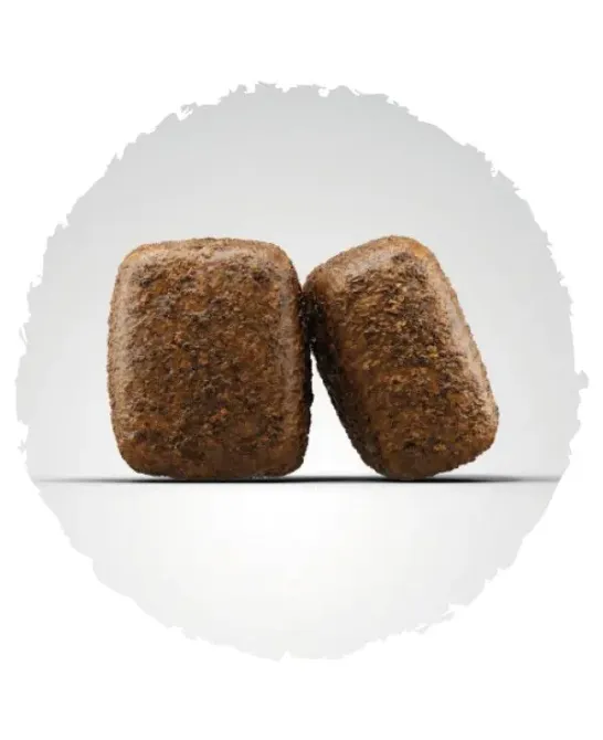 Сухий корм Josera Nature Energetic (Нейчер Енергетік) беззерновой корм для активних собак, 12.5 кг Вінниця - фото 2