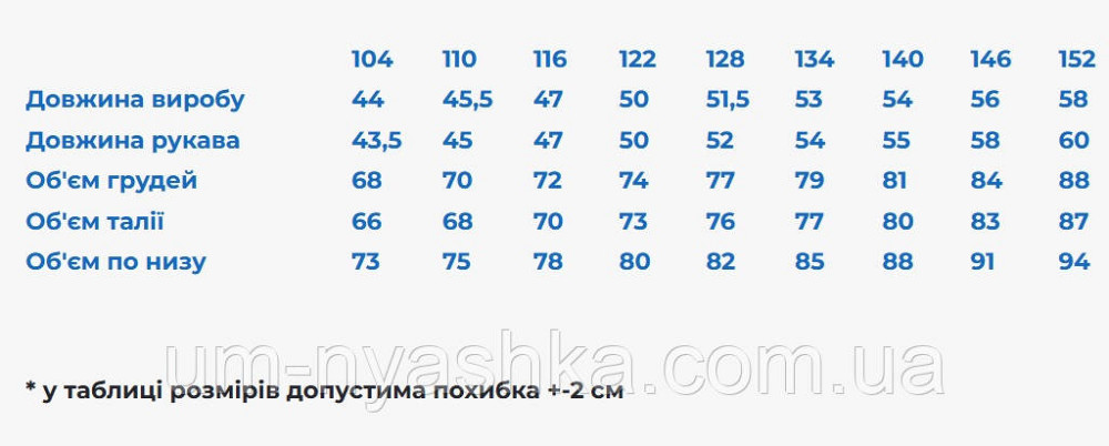 Детская вышиванка Гануся Кривой Рог - изображение 5