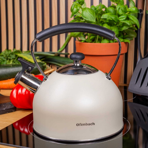 Чайник 2,2 л 100325 Ofenbach Житомир
