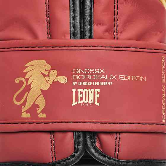 Боксерські рукавички Leone Mono Bord 14 ун. Кам'янське