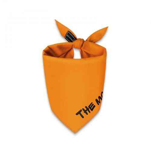Бандана Pet Fashion «Weekend» для собак, размер M-XL, оранжевая Винница