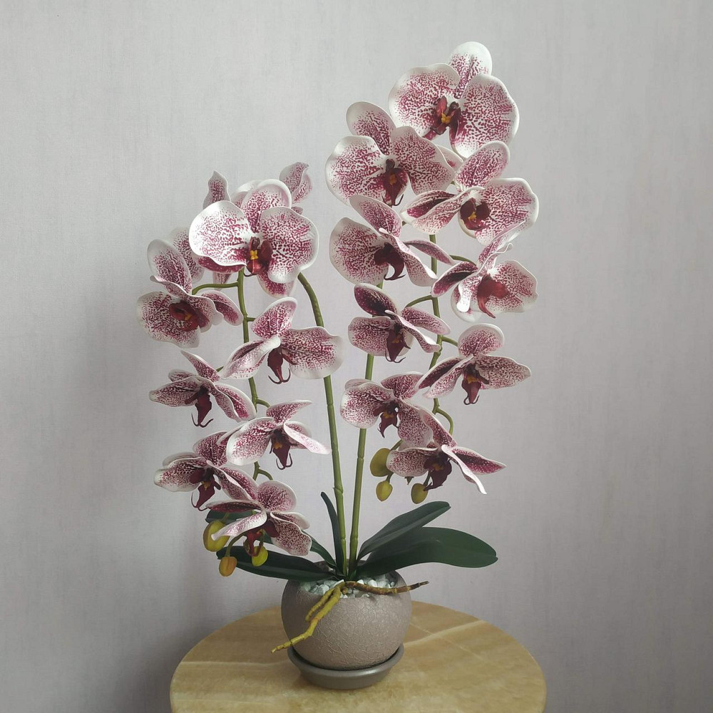 Штучна латексна орхідея VIP у пудровому керамічному кашпо на дві гілки бордовий градієнт Дніпро - фото 1
