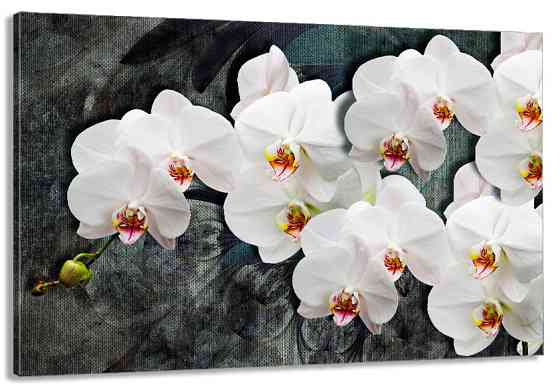 Картина холст в гостиную / спальню  Орхідея      MLP_303 70x140 см Киев