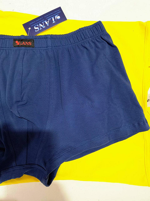 Трусы мужские боксеры Lans 07/005 3XL, Синий Киев - изображение 3