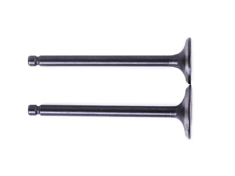 Клапаны (пара, голые) Альфа 125 Мукачево - изображение 1