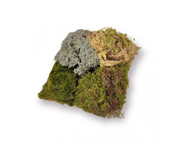 Набір субстратів для тераріума 4 мхи TerriX - 5л Зміїв - фото 1