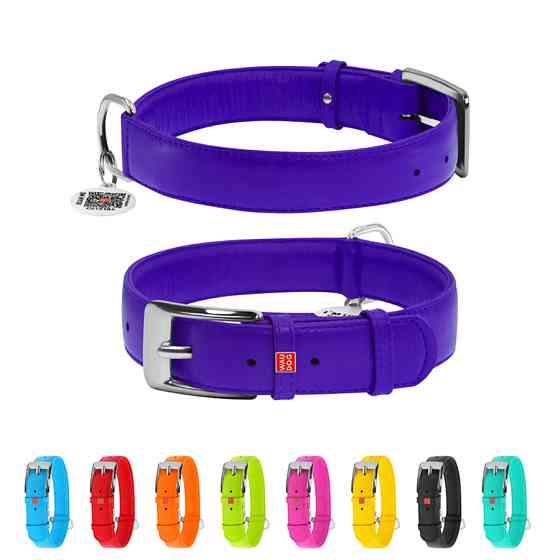 Нашийник для собак шкіряний WAUDOG Glamour з QR паспортом, без прикрас, XL, Ш 35 мм, Дов 46-60 Коломия