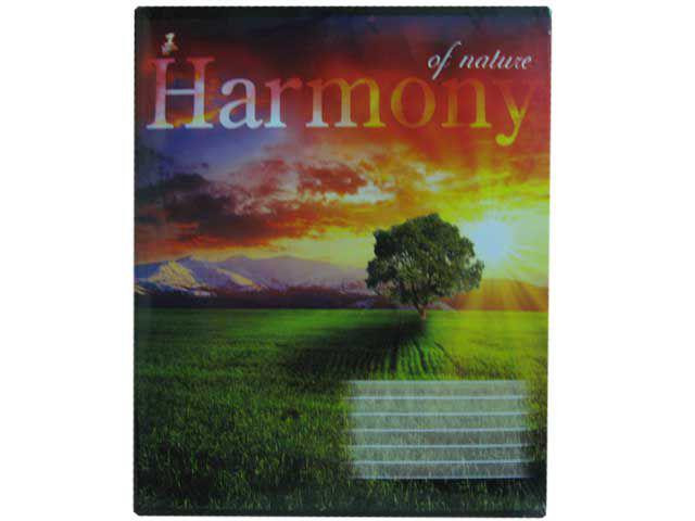 Зошит учнівський з малюнком на обкладинці 48листів смужка (16 шт.) Харків - фото 1